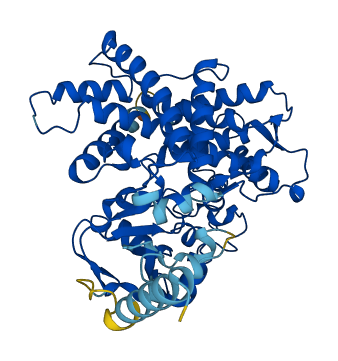 Cyp2b2 3D structure
