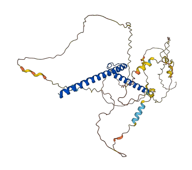 MYCN 3D structure