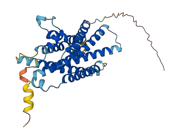 MAS1 3D structure