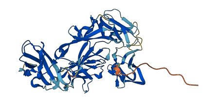 A1BG 3D structure