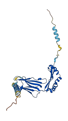 H2-Eb1 3D structure