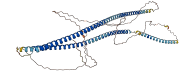 KRT6B 3D structure