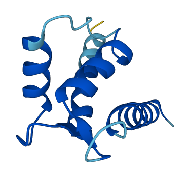 S100B 3D structure