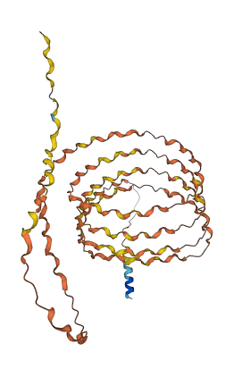 PRB1 3D structure
