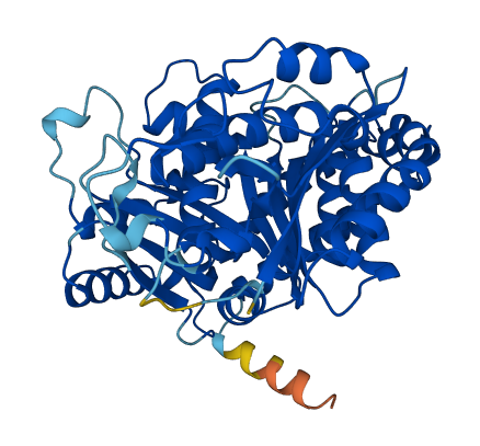 TUBB4A 3D structure