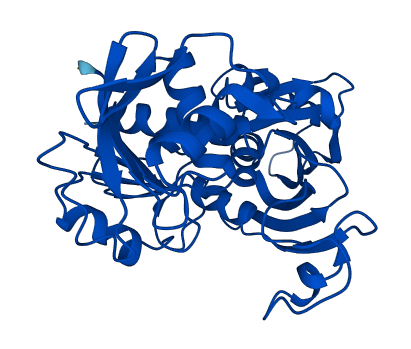 GAPDH 3D structure