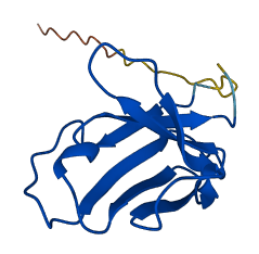 IGKV1-16 3D structure
