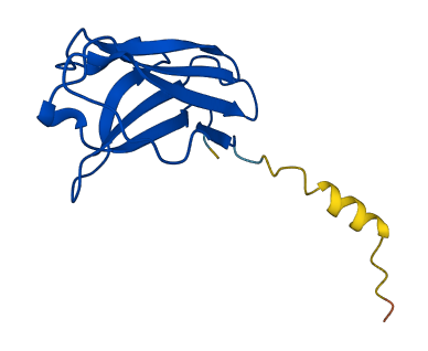 IGKV1D-39 3D structure