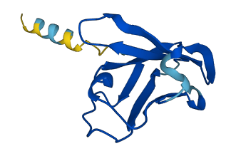 TRBV7-9 3D structure