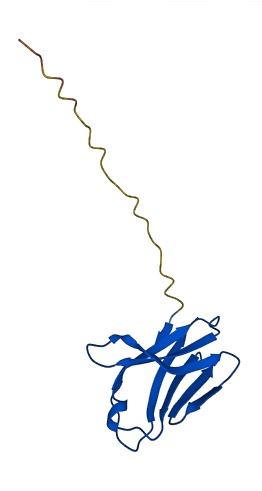 TRAV29DV5 3D structure