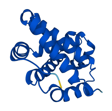 Hbb-bh0 3D structure