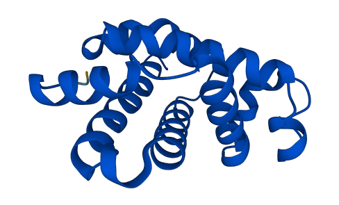 Hbb-bh1 3D structure