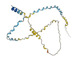 Prpg1 3D structure