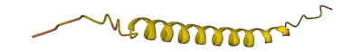 PRM1 3D structure