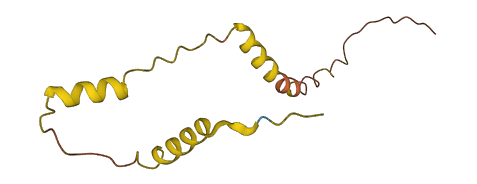 PRM2 3D structure