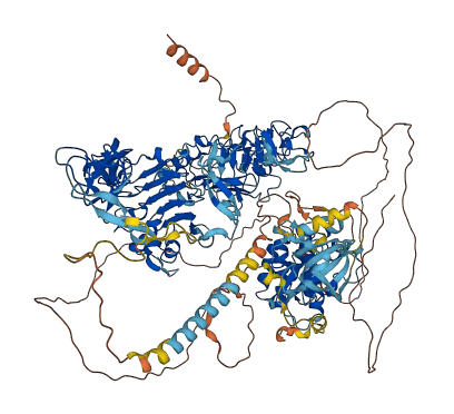 ERBB2 3D structure