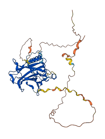 TP53 3D structure