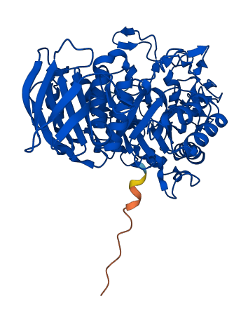 AMY2A 3D structure