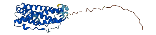 Prl7d1 3D structure