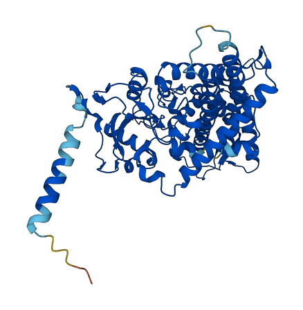 CYP1A1 3D structure
