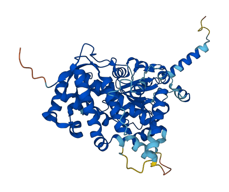 Cyp3a1 3D structure