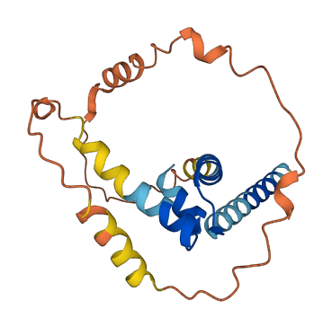 RLN1 3D structure