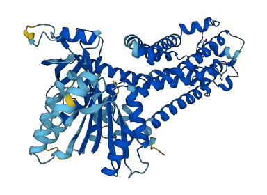 CYBB 3D structure