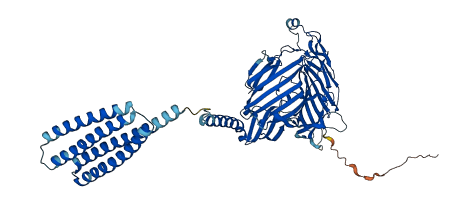 RPN1 3D structure