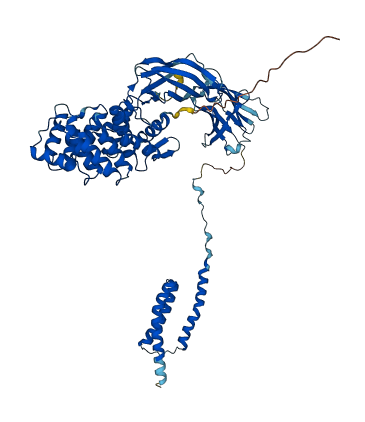 RPN2 3D structure