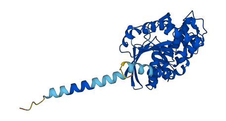 GNAI2 3D structure