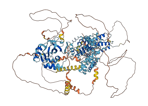 SLC4A2 3D structure