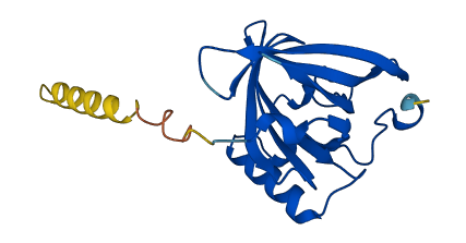 Mup3 3D structure