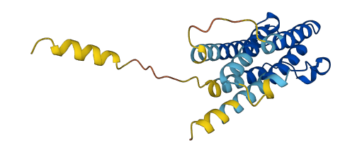 IFNW1 3D structure