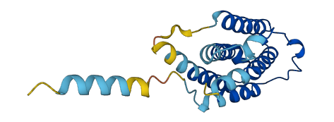 IFNA6 3D structure
