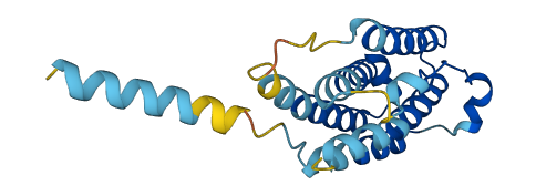 IFNA4 3D structure