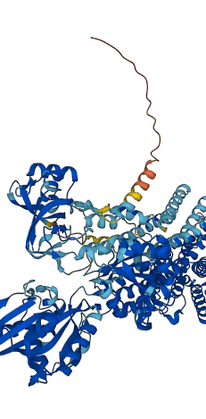 ATP1A1 3D structure