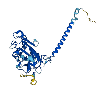 ATP1B1 3D structure