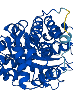 ALDOB 3D structure