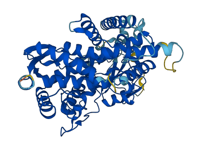 CYP17A1 3D structure