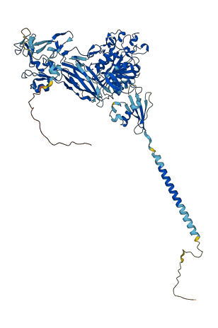 ITGB3 3D structure