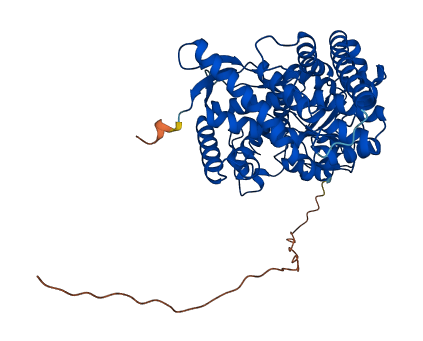 CYP11A1 3D structure