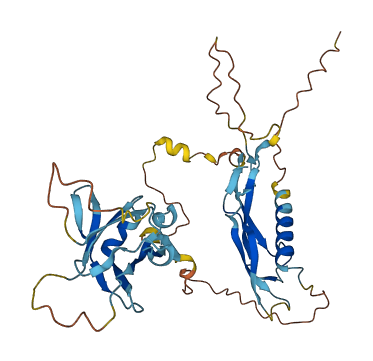 INHA 3D structure