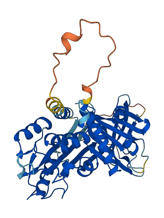 SERPINB2 3D structure