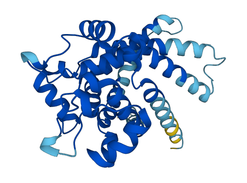 SLC25A5 3D structure