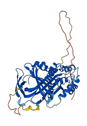 SERPINA5 3D structure