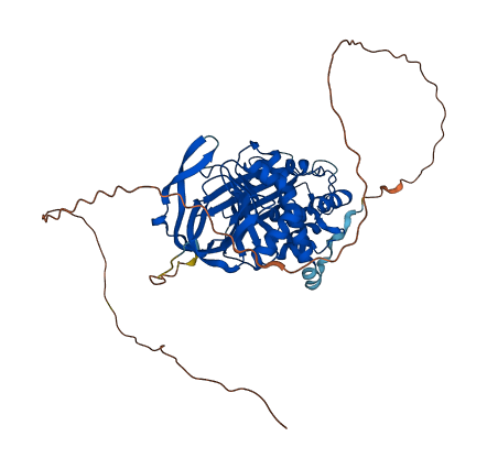 SERPING1 3D structure
