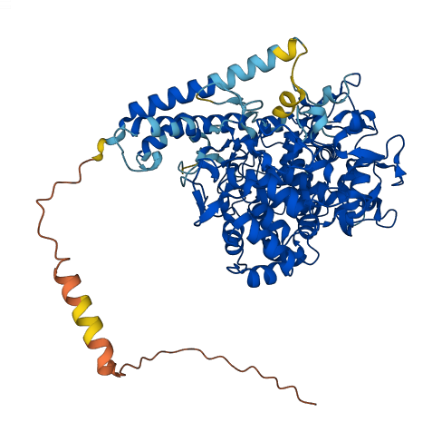 MPO 3D structure