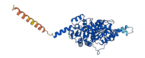 PCCB 3D structure