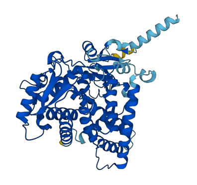 Cyp2c6 3D structure