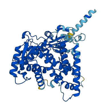 Cyp2c7 3D structure